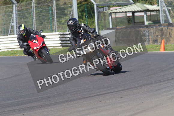 BIKES 1310