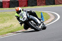 Fowlers 1253