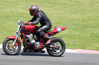 BIKES 1259