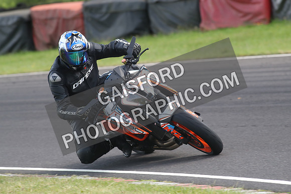 BIKES 1352