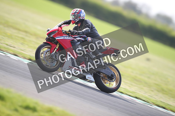 BIKES 1179