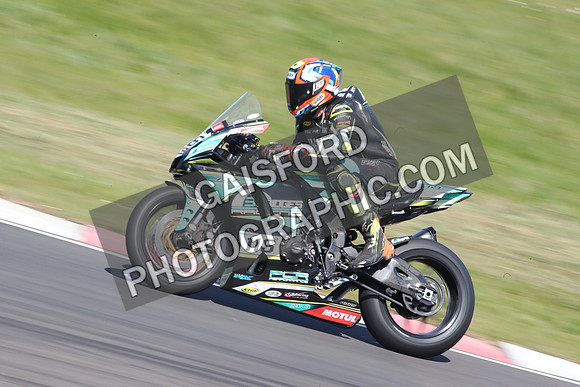 BIKES 1000