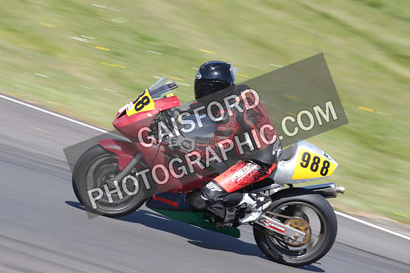 BIKES 1003