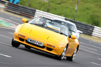 LOTUS 0593