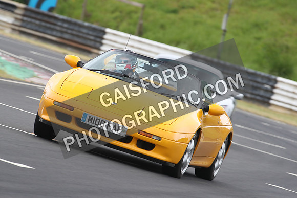 LOTUS 0593