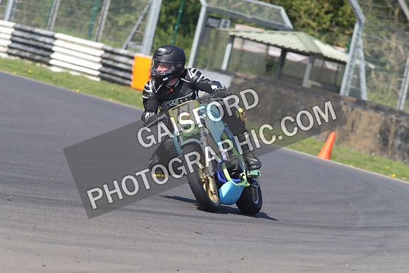 BIKES 1343