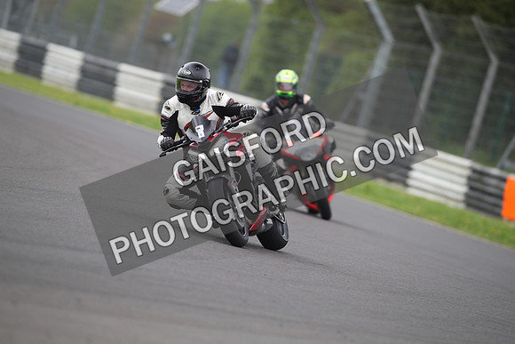 BIKES 1352