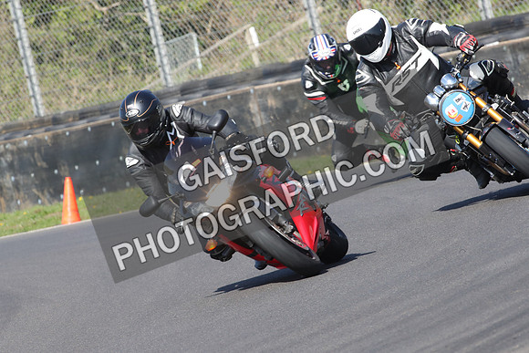 BIKES 0597