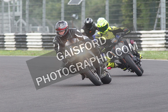 BIKES 1344