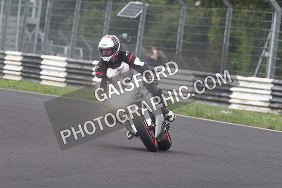 BIKES 1431