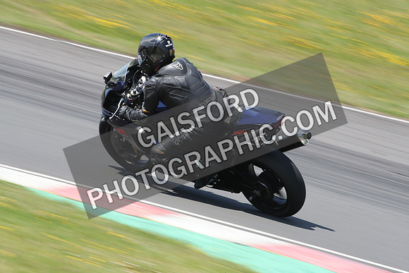 BIKES 1365