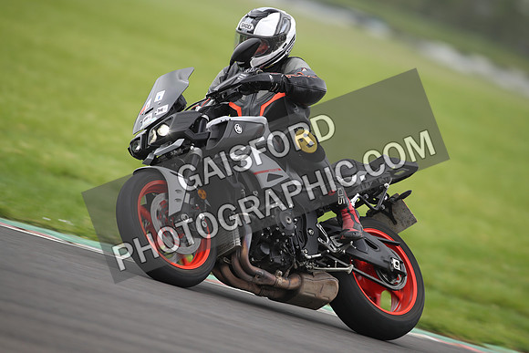 BIKES 1371