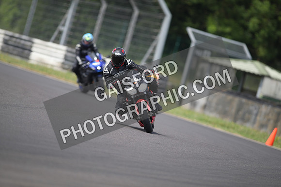 BIKES 1309