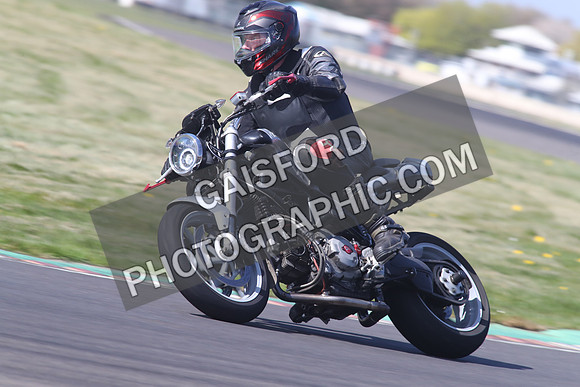 BIKES 1519