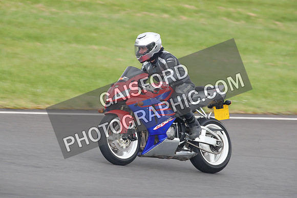 BIKES 2184