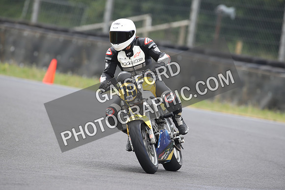 BIKES 0685