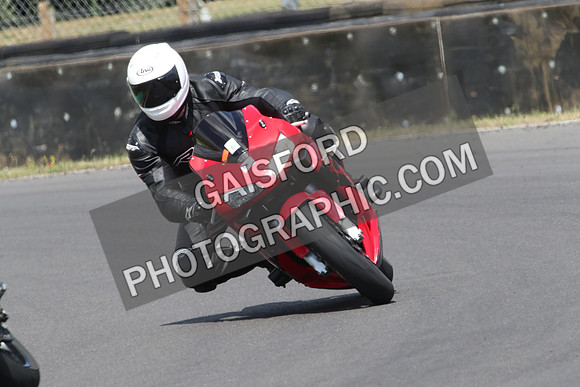 BIKES 0950