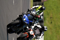 CC BIKE TD 0503