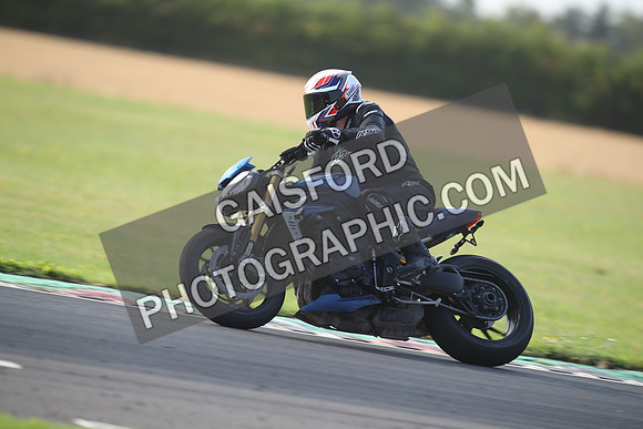 BIKES 1231