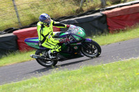 Fowlers 0697