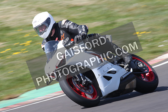 BIKES 0980