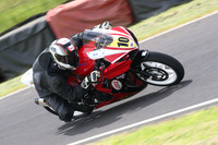Fowlers 0790