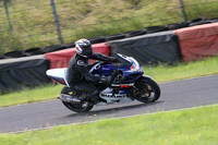Fowlers 0441