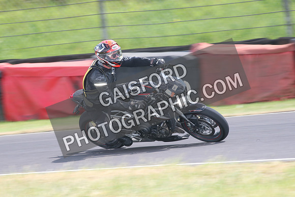 BIKES 1565