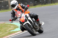 BIKES 0981