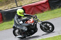 Fowlers 0776
