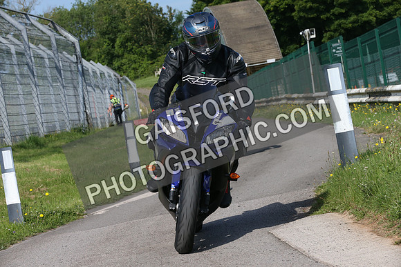 BIKES 0052