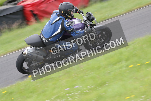 Fowlers 0558