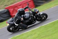 CC BIKE TD 1398