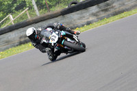 Fowlers 0466