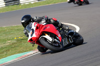 BIKES 0484