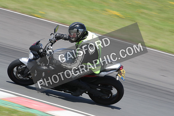 BIKES 1303