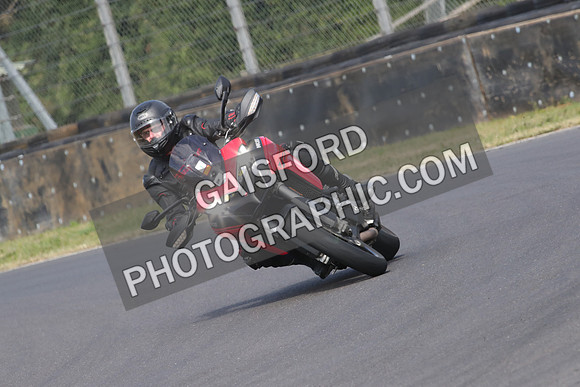 BIKES 0519