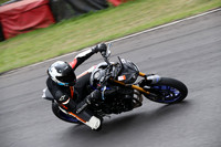 BIKES 1548