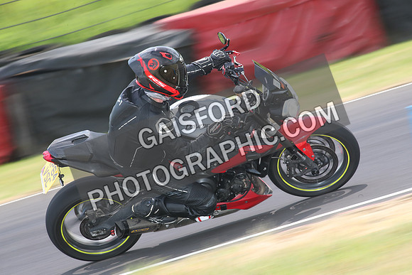 BIKES 1653