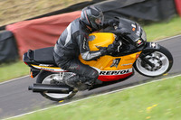 Fowlers 0480
