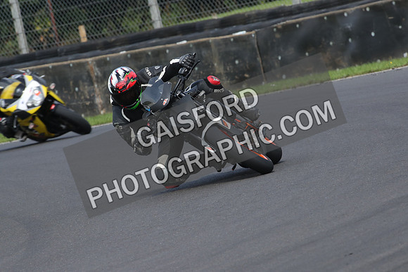 BIKES 0584