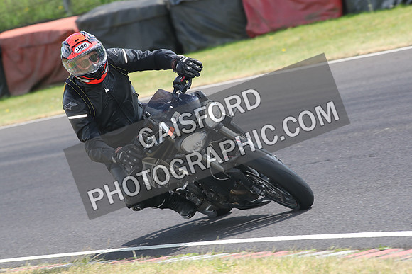BIKES 1628