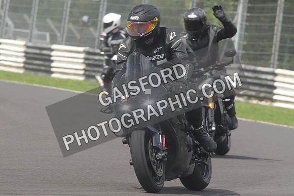 BIKES 1631