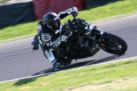 BIKES 2041