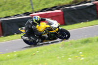 Fowlers 0967