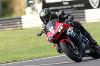 BIKES 0291