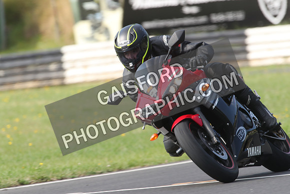 BIKES 0291
