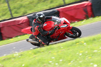 Fowlers 0843