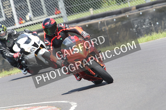 BIKES 0981