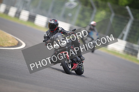 BIKES 1295